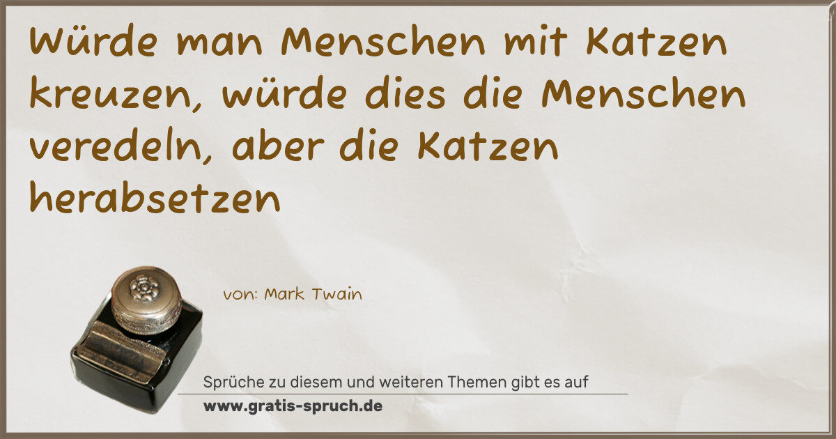 Spruchbild: Katzen