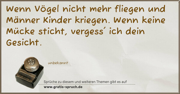 Spruch Visualisierung: Wenn Vögel nicht mehr fliegen
und Männer Kinder kriegen.
Wenn keine Mücke sticht,
vergess' ich dein Gesicht.