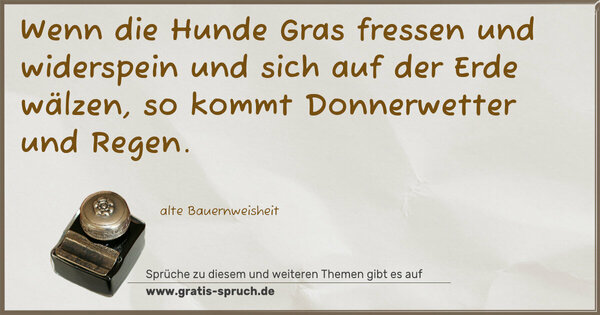 Spruch Visualisierung: Wenn die Hunde Gras fressen und widerspein
und sich auf der Erde wälzen,
so kommt Donnerwetter und Regen.