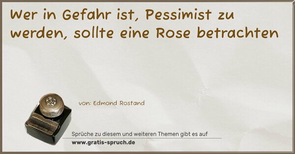 Spruch Visualisierung: Wer in Gefahr ist,
Pessimist zu werden,
sollte eine Rose betrachten