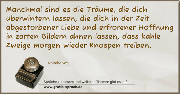 Spruch Visualisierung: Manchmal sind es die Träume,
die dich überwintern lassen,
die dich in der Zeit abgestorbener Liebe
und erfrorener Hoffnung
in zarten Bildern ahnen lassen,
dass kahle Zweige morgen wieder Knospen treiben.