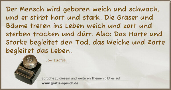 Spruch Visualisierung: Der Mensch wird geboren weich und schwach,
und er stirbt hart und stark.
Die Gräser und Bäume treten ins Leben weich und zart
und sterben trocken und dürr.
Also: Das Harte und Starke begleitet den Tod,
das Weiche und Zarte begleitet das Leben. 